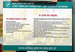 Z naturą za pan brat