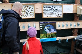 Z naturą za pan brat