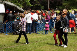 33. urodziny piegowatego króla