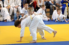 Wspólna walka, wspólna zabawa (judo)