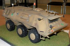 Sukces elbląskich modelarzy