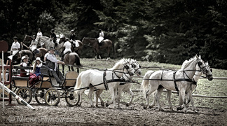 Piastowiada 2012 (skoki przez przeszkody)