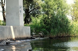 Zawsze jest „dziękuję” lub „przepraszam”