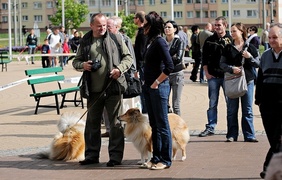Nasi czworonożni przyjaciele