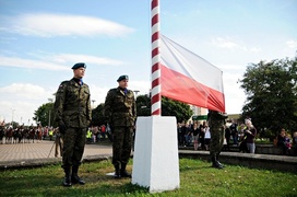 Urodziny Dywizji