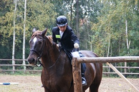 Medalowa jazda konna uczniów SOSW Nr 1