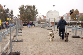 Zwodzone wiosną