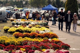 Dzień Wszystkich Świętych