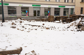 Nie ma róży bez kolców