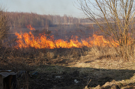 Płoną trawy!