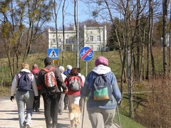 Na Szlaku Kopernika z PTTK