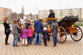 Kwitną żonkile, rozkwita nadzieja