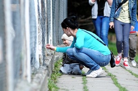 Lew Gigant i inne atrakcje