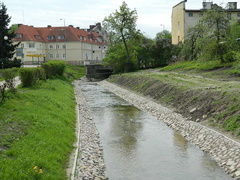 Dokąd popłynie Kumiela?