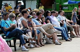 Rośliny za baterie, nakrętki i makulaturę