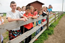 Nie różnimy się niczym, poza wielkością