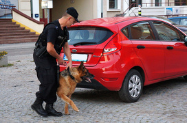 Fałszywy alarm bombowy na Rybackiej