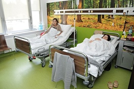 To było nasze marzenie