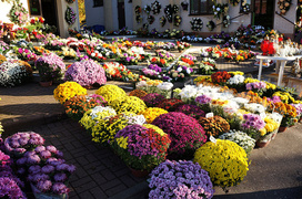 Każdy znicz ma swojego klienta