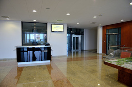 Co się wykluje w tym inkubatorze?