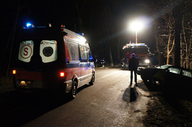 Królewiecka: passatem w drzewo