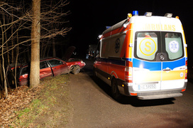 Królewiecka: passatem w drzewo