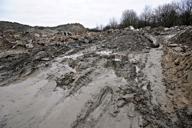 Modrzewina zawalona gruzem