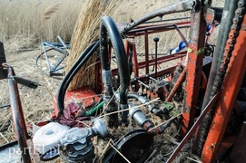 Jest już zimno? Zatem czas kosić trzcinę