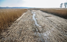 Jest już zimno? Zatem czas kosić trzcinę