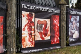 Miały ruszyć sumienie, a wywołały skandal