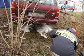 Śmiertelny wypadek na Fromborskiej