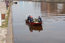 Plama oleju na rzece Elbląg