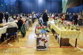 Do wyboru, do koloru i do smaku