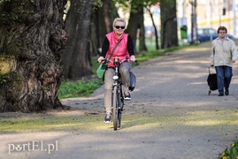 Siódmy tydzień Metamorfozy