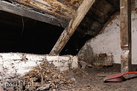 Bema 33: tutaj rządzą gołębie i robactwo