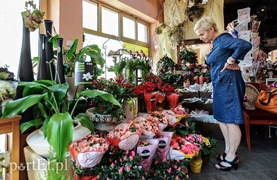 Jedenasty tydzień Metamorfozy