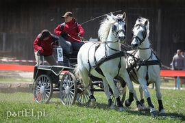 Piknik Zaprzęgowy w Piastowie