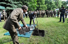 Niech ten dąb przypomina nam o drodze do wolności