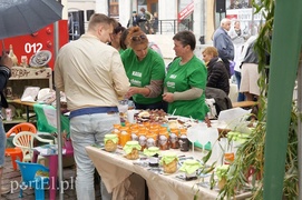 Pomagają, radzą, bawią