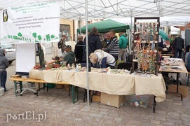 Pomagają, radzą, bawią