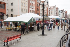 Pomagają, radzą, bawią