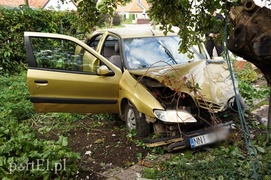 Citroenem wpadł do ogródka