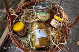 Kraina miodem płynąca