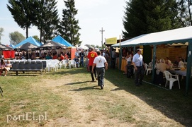 Kraina miodem płynąca