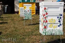 Kraina miodem płynąca