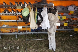 Kraina miodem płynąca