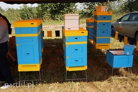 Kraina miodem płynąca