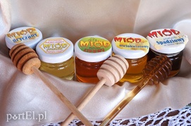 Kraina miodem płynąca