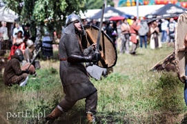 Wolny jak wiking