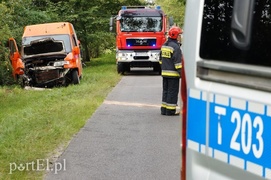 Dąbrowa Kolonia: autem dostawczym w drzewo